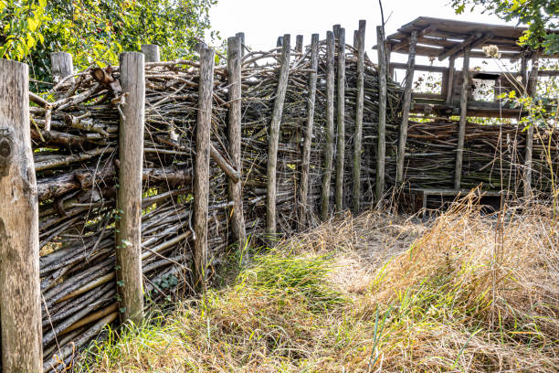 Rustic fence made with tree branches and wooden posts with a small roof with small openings, brown green wild grass