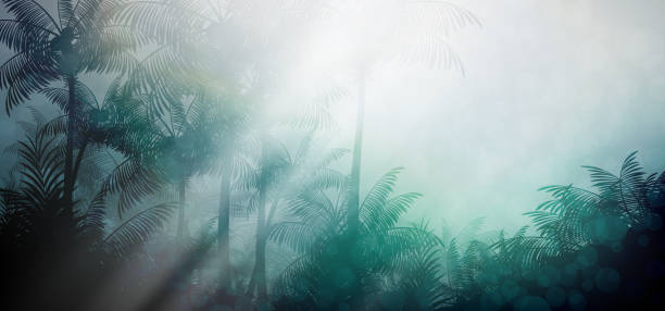 illustrazioni stock, clip art, cartoni animati e icone di tendenza di serata sullo sfondo della giungla della foresta pluviale tropicale - tropical rainforest forest green abstract