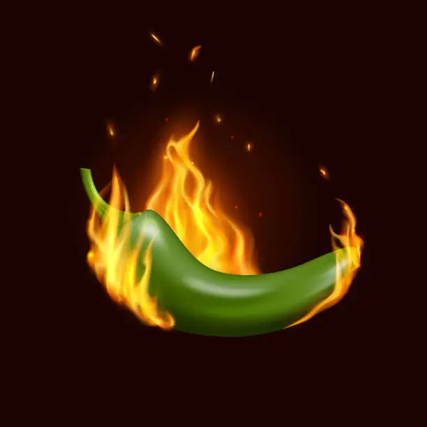 Vector illustration of Jalapeno chili pepper in fire, Mexican cuisine