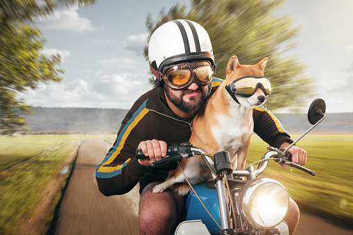 A bearded man with a vintage helmet and goggles is riding a moped. His pet dog is sitting on the tank next to him. Motion blurred background.