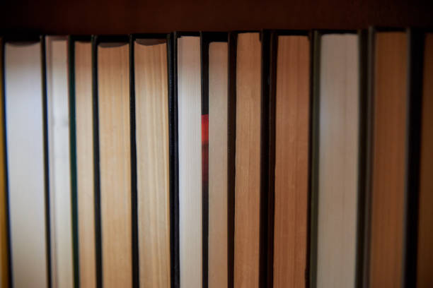 istock Book spines lined up, close-up, learning and education concept. 1279758006
