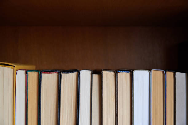 istock Book spines lined up, close-up, learning and education concept. 1279758827