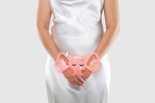istock Uterine Diseases 1279760345