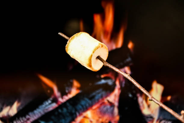 istock Two Marshmallows On A Stick Roasting Over Campfire On Black Background. Camping Summer Fun Concept 1279760863