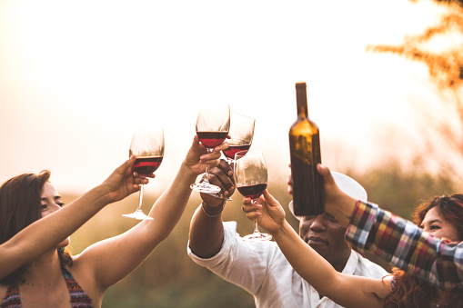 Close up of a multicultural group of friends having a picnic and raising their glasses of wine to make a toast to celebrate this outdoor meeting.
