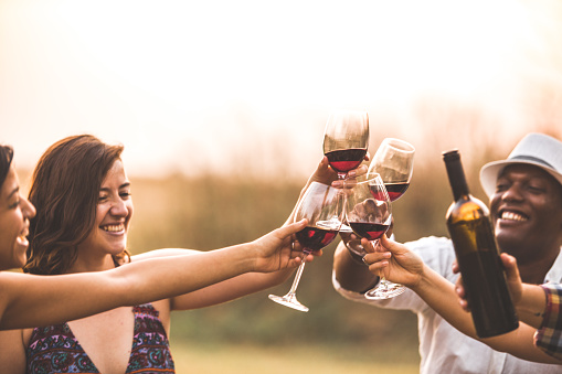 Cut out of a friendly toast made during a picnic. Happy Latin American people celebrate by drinking wine.