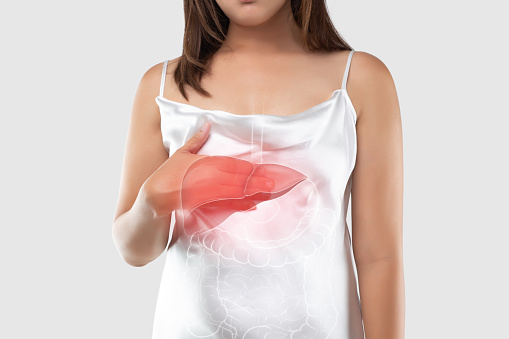 Digestive system with clipping path, on gray background , 3d render