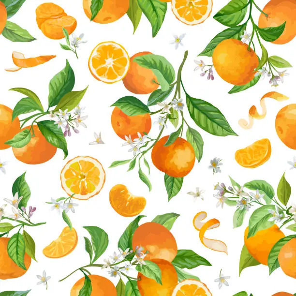 Vector illustration of Mandarin Floral Pattern, Vector Seamless Fruit Background, Citrus Fruits, Flowers, Leaves, Limes Branches Texture. Watercolor Style Lemons. Vintage Lemon Design for Print, Wedding, Backdrop, Wallpaper