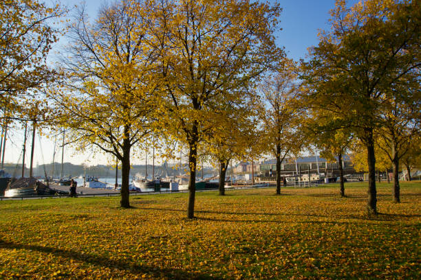 Djugarden park at sunset, trees with golden leaves, boats and buildings and a few people walking on the background