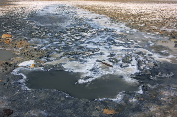 istock Sasyk-Sivash salt lake 1279766622