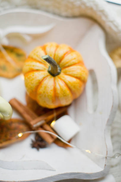 istock Pumpkin, marshmallow and cinnamon on tray 1279770268