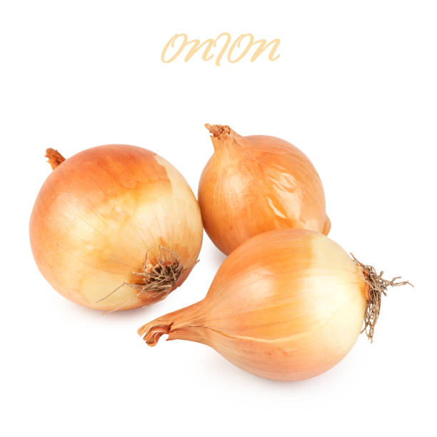 istock Fresh bulbs of onion on a white background 1279771668