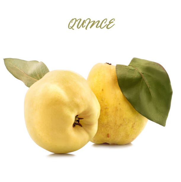 sweet quinces with leaves and slice on white with a clipping path sweet quinces with leaves and slice on white with a clipping path. cydonia stock pictures, royalty-free photos & images