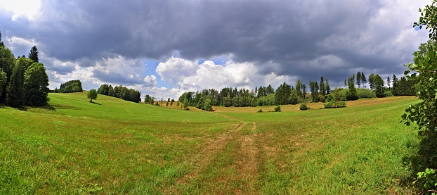 Sunlit pasture for cows. Road through a green meadow. Horizon with trees, blue sky and storm clouds.