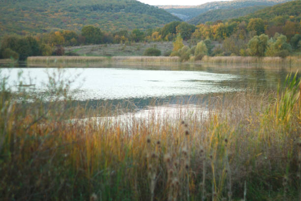 istock small lake surrounded by colorful autumn foliage 1279774327