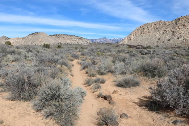 istock White Rock amphitheater landscape, Snow Canyon State Park, Utah 1279774477