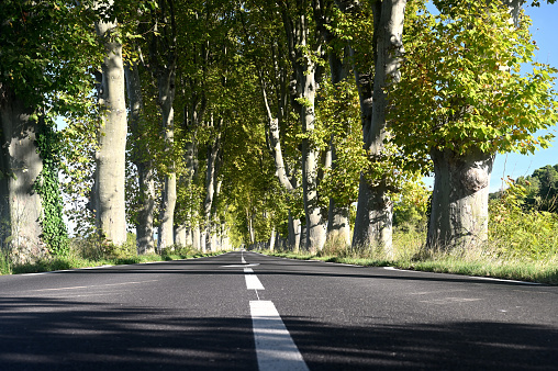 In october, an empty road in south of france