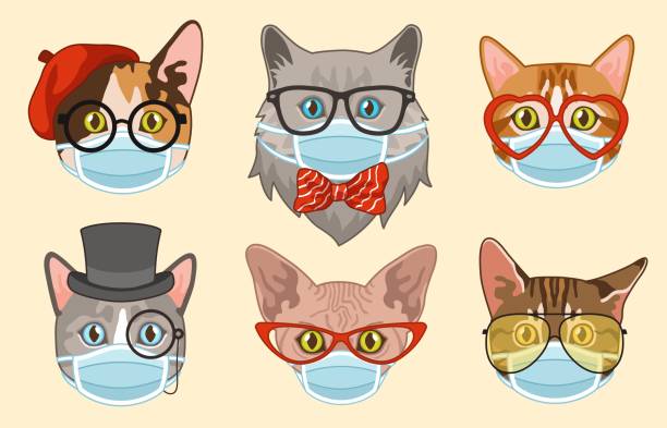Cat in face mask. Cute heads cats muzzles in medical masks, happy pets portrait stickers, coronavirus social protection new lifestyle stop spread Covid-19 beware epidemic flat vector set Cat in face mask. Cute funny hipster heads cats muzzles in medical masks, happy pets portrait stickers, coronavirus social protection new lifestyle stop spread Covid-19 beware epidemic flat vector set cat muzzle meowing cartoon stock illustrations