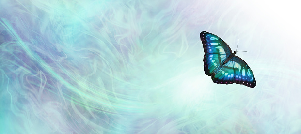 beautiful blue green jade coloured butterfly against a pale blue green gaseous wispy energy background with white light and copy space