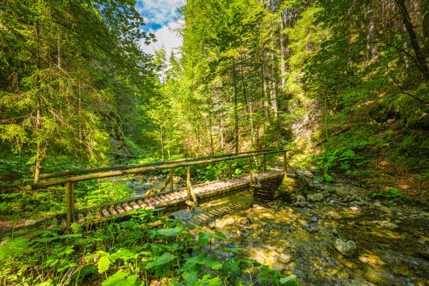 istock Mountain landscape in the Juranova dolina - valley in The Wester 1279781423