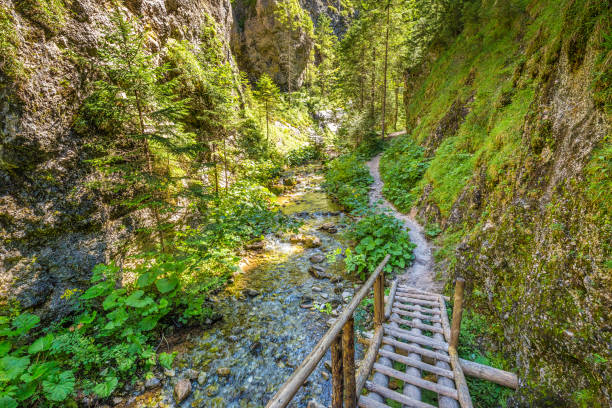 istock Mountain landscape in the Juranova dolina - valley in The Wester 1279781429