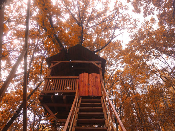 istock Treehouse in the autumn forest.  Trees with yellow leaves. 1279786384
