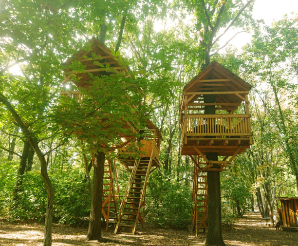 istock Treehouse in the autumn forest.  Trees with yellow leaves. 1279786485