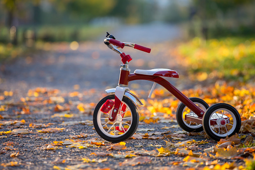 Red vintage tricycle in the park on sunset, beautiful autumn sunny day