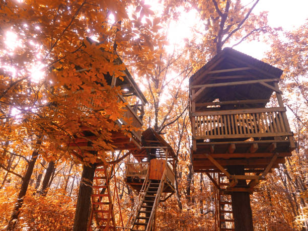 istock Treehouse in the autumn forest.  Trees with yellow leaves. 1279786666