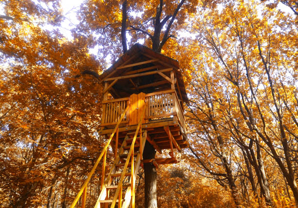 istock Treehouse in the autumn forest.  Trees with yellow leaves. 1279786882