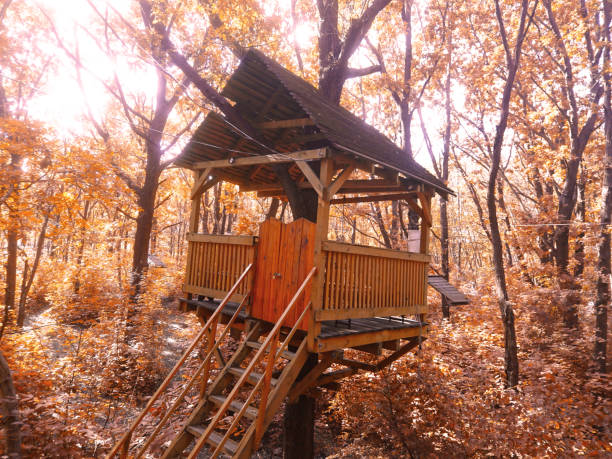 istock Treehouse in the autumn forest.  Trees with yellow leaves. 1279786883