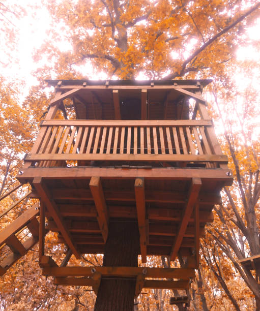 istock Treehouse in the autumn forest.  Trees with yellow leaves. 1279787606
