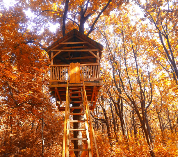big tree house in autumn