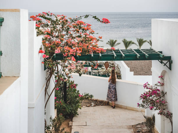 istock Beautiful white house on the sea background 1279787874
