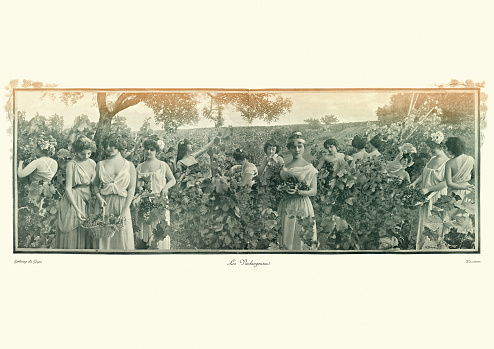 Antique photomontage photograph, Young women harvesting grapes, Victorian, 19th Century.