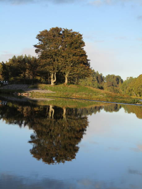 istock Treeline and banks of Loch Ness with reflection 1279792508