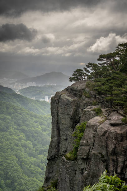 istock Trees in south korean mountains 1279794021
