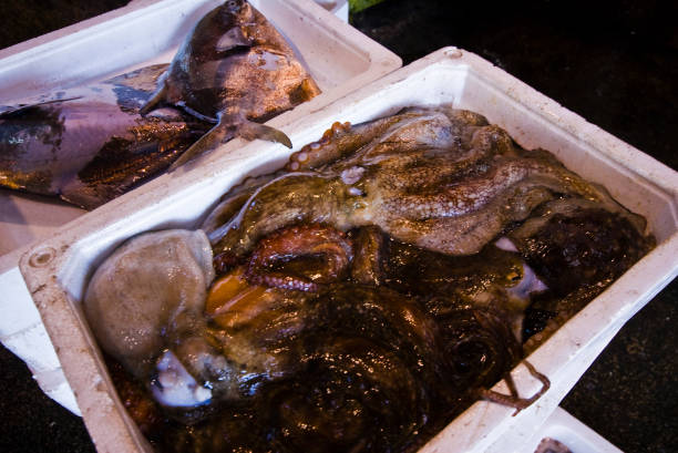 Octopus seen at Shodoshima Fish Market.