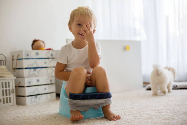 Blond toddler child, using potty at home, little pet maltese dog next to him Blond toddler child, using potty at home, little pet maltese dog lying next to him potty toilet child bathroom stock pictures, royalty-free photos & images