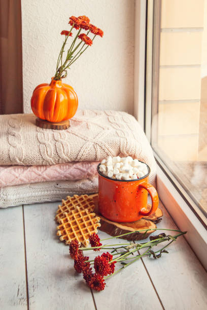 Cozy autumn still life on the windowsill: warm wool sweaters, pumpkins, maple leaves and a Cup of cocoa with marshmallows and waffles