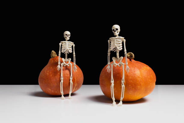 istock Skeletons and orange pumpkins on white table, black background side view copy space. Halloween holidays celebration. Spooky decorations. Night party. 1279800302