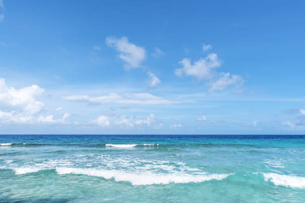 Beautiful turquoise tropical sea and clear sky background