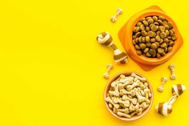istock Dog pet food background. Top, overhead view 1279802767