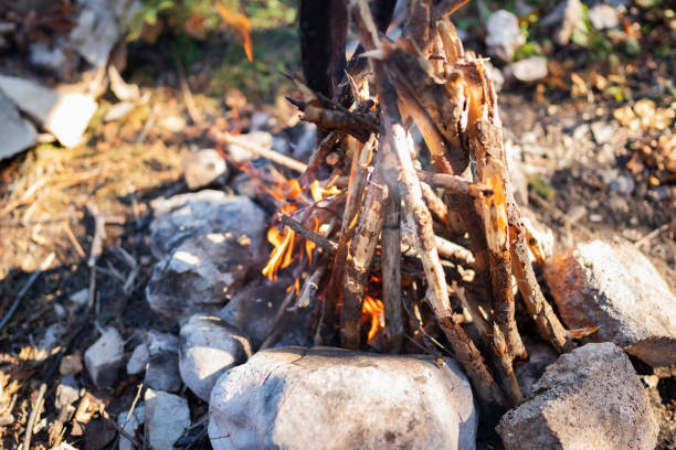 istock Close-up of a campfire 1279808324