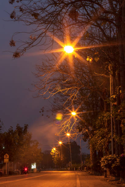 istock Light many lamps and trees on the dark road.. 1279817586