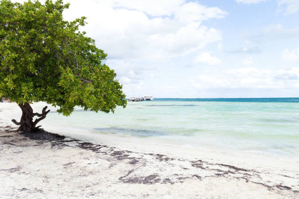 istock Travel destination card 1279819181