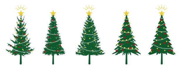 Illustration set of various Christmas trees Illustration set of various Christmas trees multiple christmas trees stock illustrations