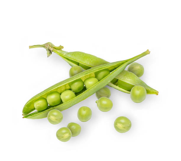 istock Fresh green pea isolated on white 1279825638