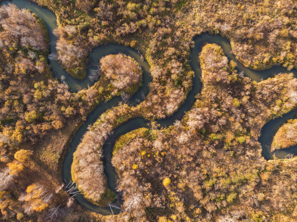 istock autumn landscape with river 1279829020
