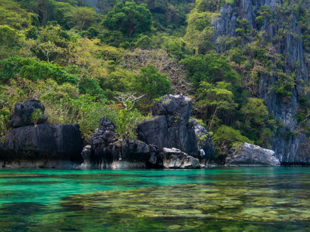 istock El Nido shallow lagoon 1279829871